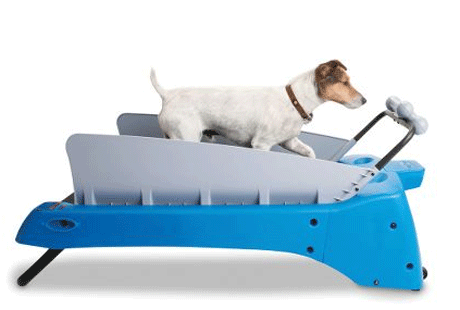 ������� ������� ��� ����� ������