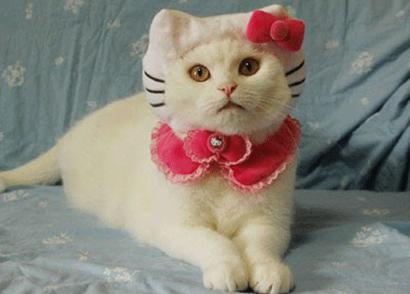 ����� �� ������ �������� �����?