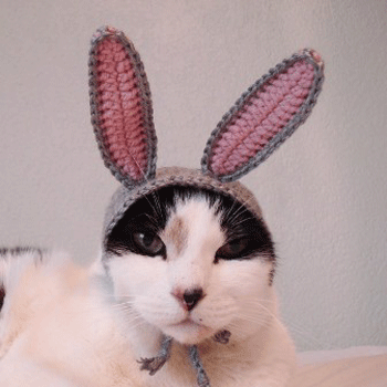 ����� �� ������ �������� �����?