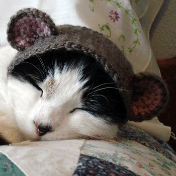 ����� �� ������ �������� �����?