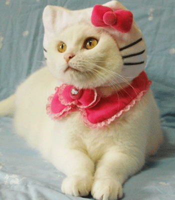 ����� �� ������ �������� �����?