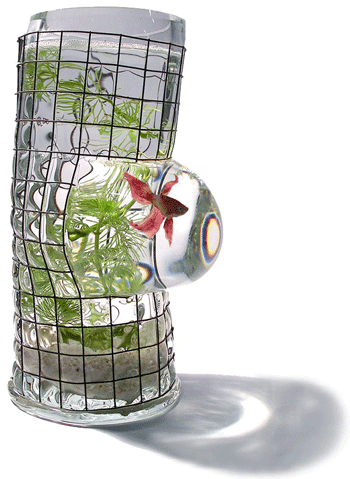 ��������������� �������� �� ������� �������