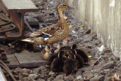 ��������� �� ����������