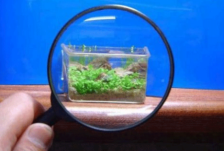 ����-��������� ���