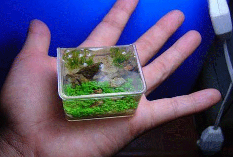 ����-��������� ���