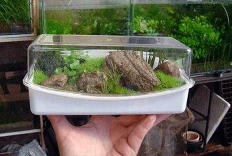 ����-��������� ���