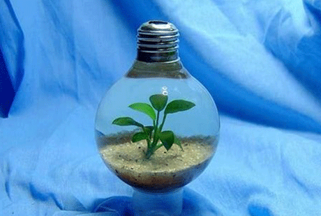 ����-��������� ���