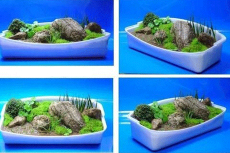 ����-��������� ���