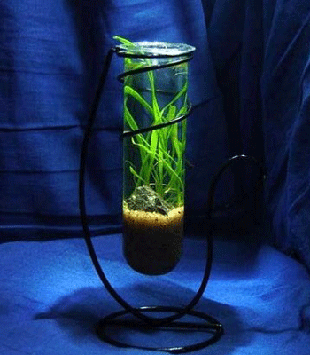 ����-��������� ���