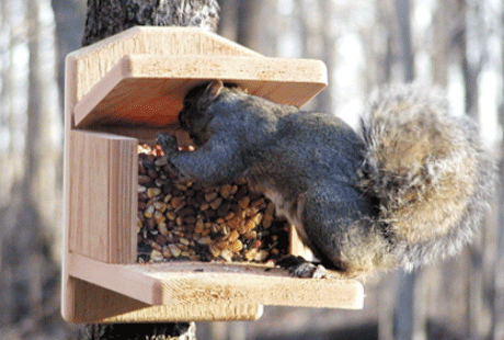 ����� � ����� ������� ������