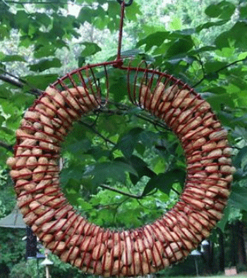 ����� � ����� ������� ������