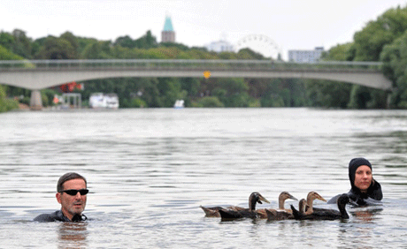 ������ �������