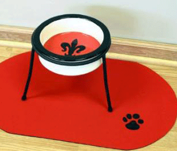 ������������ ����� ��� ��������