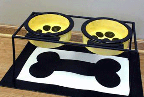 ������������ ����� ��� ��������