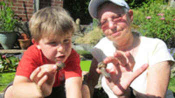 �������� ���������� ��������