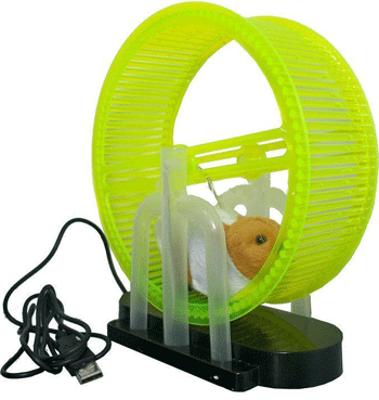 ���-��� ��� �������