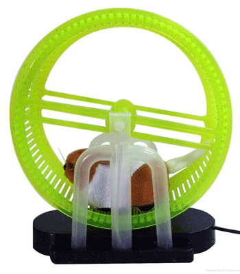 ���-��� ��� �������