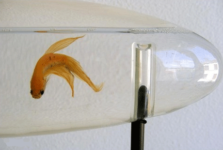 ������������ �������� �� Amaury Poudray