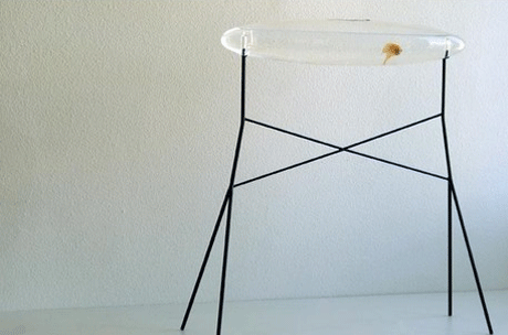 ������������ �������� �� Amaury Poudray