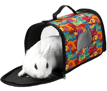 � � ��� ������ �������� ��?