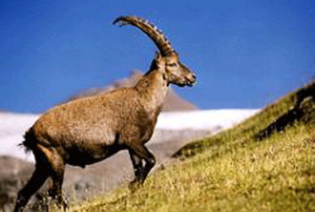 � ������-�� � ����