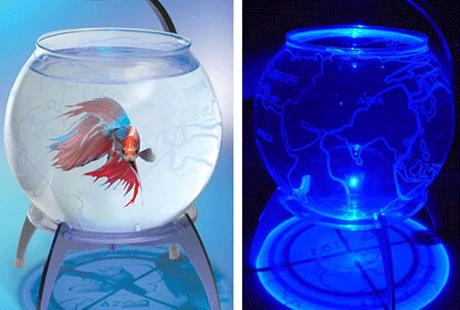 ��������-������