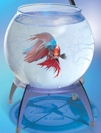 ��������-������