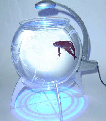 ��������-������