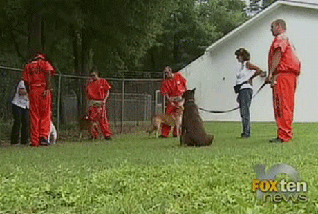 ����������� � ������ ������� ���� �����