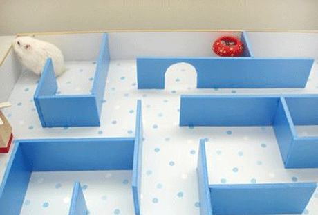 ������ �������� ��� ������