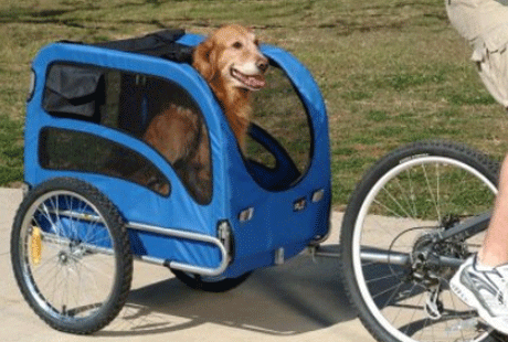 ������������ ���-���� ��� �����