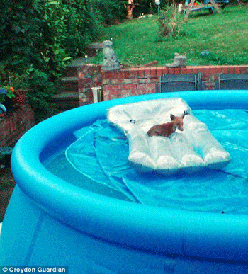 ��������� �����