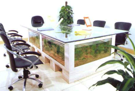 ��������� ����