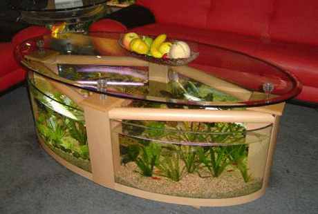 ��������� ����