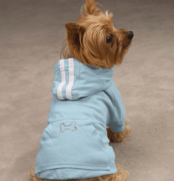 ����� � ������� � ��������� ����