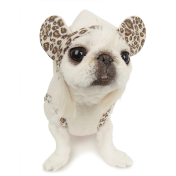 ����� � ������� � ��������� ����