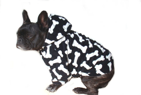 ����� � ������� � ��������� ����