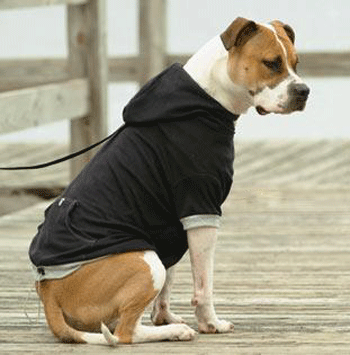 ����� � ������� � ��������� ����