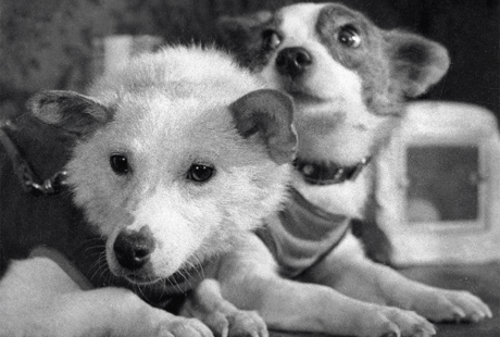 �� ��� ������ ����� � ������� � ������ ������ �������