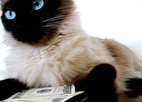 � �������� �������� �������