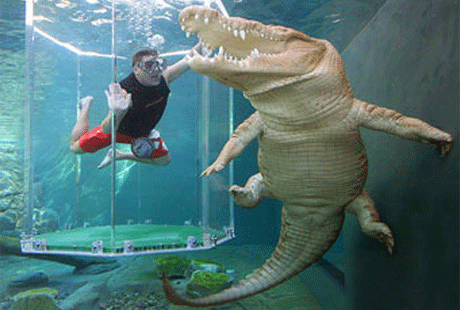 �����, ����� � ��� ���������?