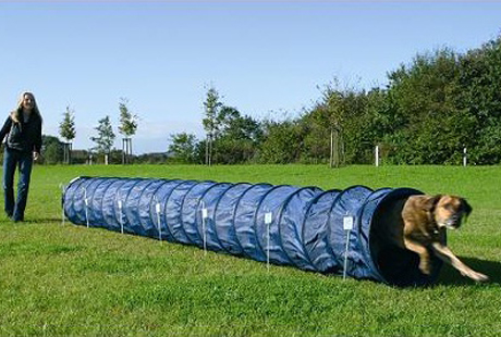 ��������� ��� ���������� �����