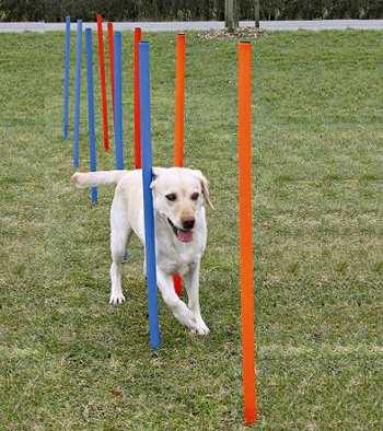 ��������� ��� ���������� �����