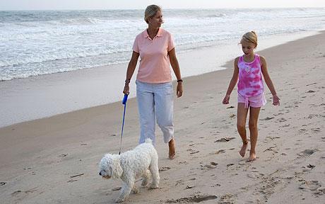 ������ � ������ ��������������