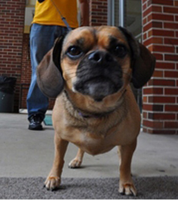 ������ � ������ ��������������