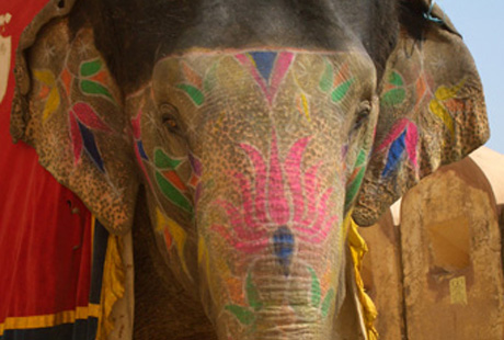 ���� ������ ��������� ��������� � ���������