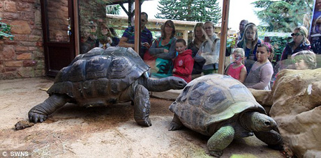 ��������� �����������