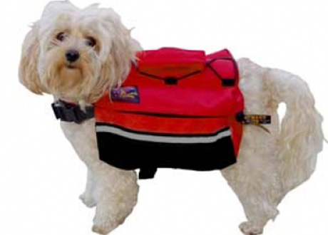 � ����� � ������� ����