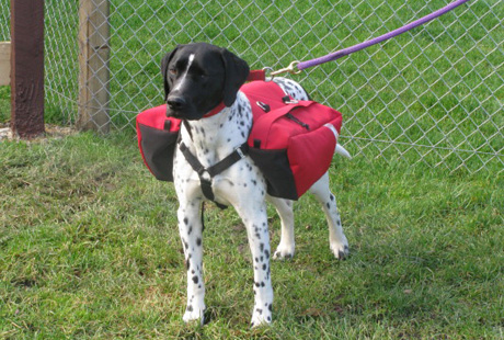 � ����� � ������� ����