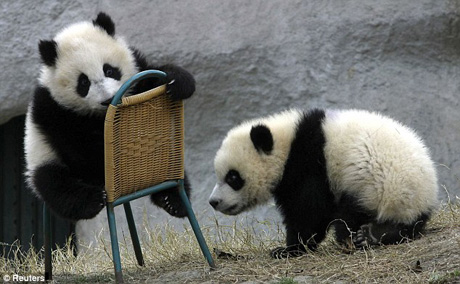 ����� ������ ����